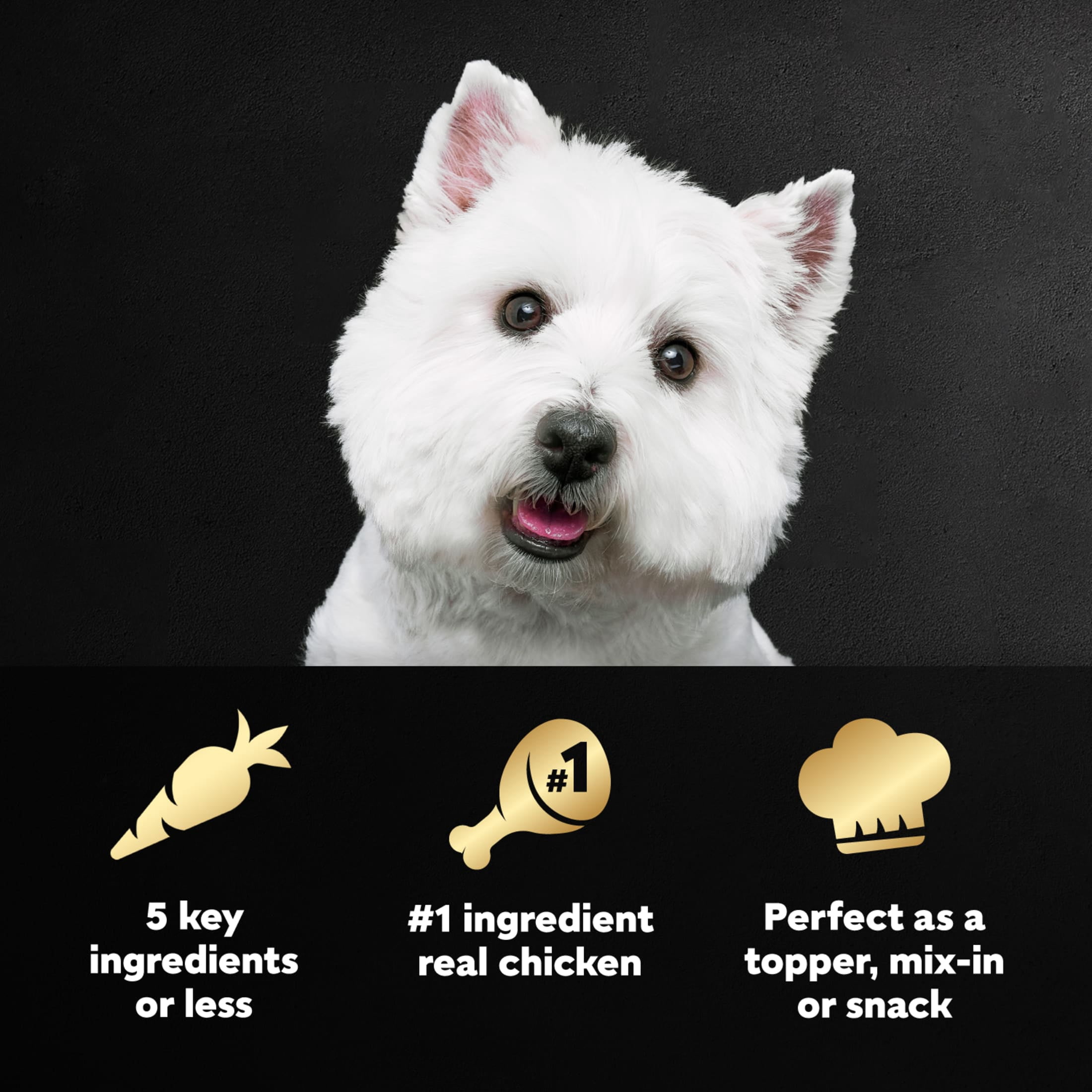 Cesar Simply Crafted Chicken and Vegetables Adult Wet Dog Food Meal Topper, 1.3 oz Tub