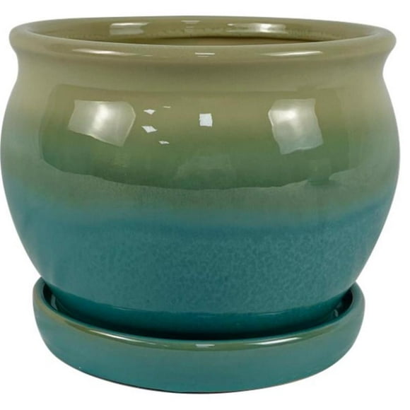 Maceta Border Concepts Archdale Ceramic, 7 cm de alto x 21 cm de ancho, musgo