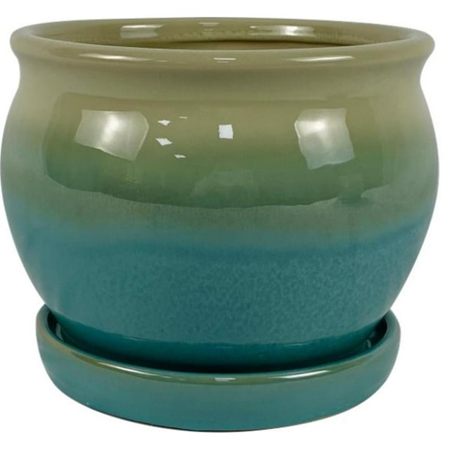 Maceta Border Concepts Archdale Ceramic, 7 cm de alto x 21 cm de ancho, musgo