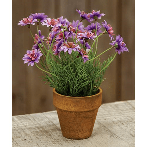 Potted Faux Lavender Daisy Star Plant 