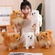 thumbnail image 2 of Premium Cute Real Life Soft Lovely Plush Pomeranian Dog Toy Gift for Kids 11 Inch, 2 of 5