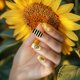 thumbnail image 5 of 6 placas para estampar uñas con diseño de abeja y flor, temática de panal, hojas florales, plantilla para manicura, girasol y margarita., 5 of 7