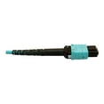 thumbnail image 5 of Eaton Tripp Lite Series 400G Multimode 50/125 OM4 Plenum Fiber Optic Cable, 24F MTP/MPO-PC to (x2) 12F MTP/MPO-PC (F/F), Aqua, 5 m - Network cable - MTP/MPO/PC multi-mode (F) to MTP/MPO/PC multi-mode (F) - 5 m - fiber optic - 50 / 125 micron - OM4 - plenum - black, aqua, 5 of 5