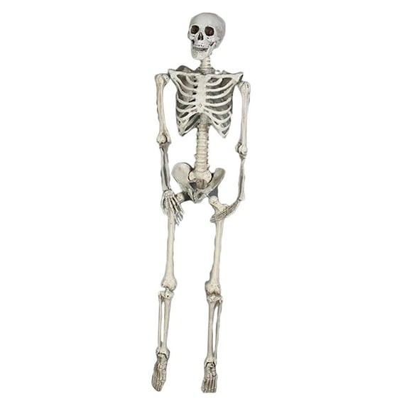 Decoraciones de esqueleto humano de imitación de esqueleto de Halloween Yuyangstore esqueletos de halloween