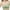 Green, variant on Tumotour Full Coverage Bras For Women Adjustable Straps No Steel Ring Lace Pattern Gathering Middle-Aged And Elderly Underwear Breathable Bralette Bras Comfortable Wireless Daily Bras