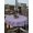 Purple, Lilac, White, variant on Outdoor Tablecloth with Umbrella Hole & Zipper, Orange Rectangle Tablecloth 54x80 Inch, Modern Geometric Abstract Art Aesthetics Patio Table Cover Waterproof Table Cloth for Picnic/Party