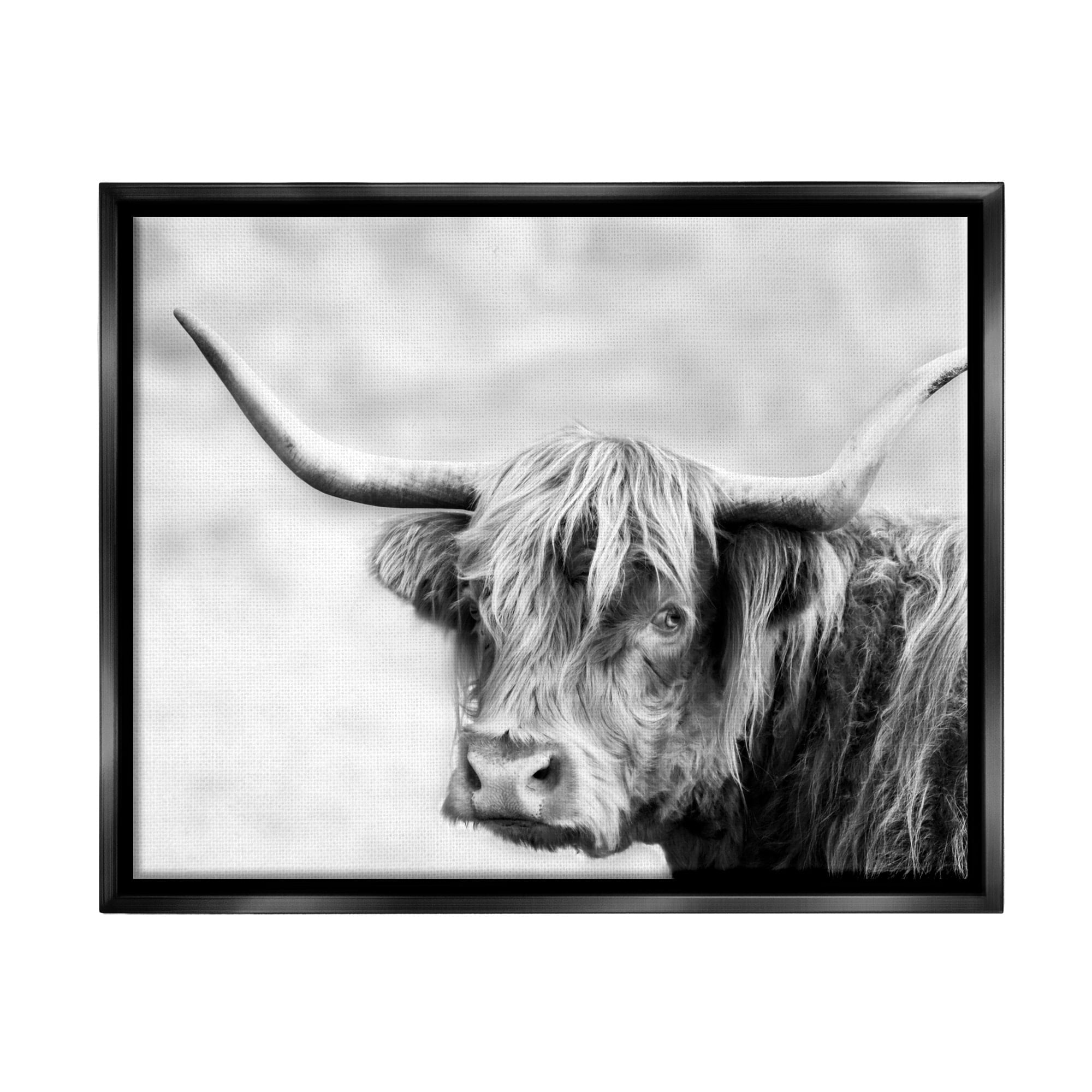 Stupell Industries Bold Country Cattle Black White Photography Wild Animal Jet Black Framed Floating Canvas Wall Art, 24x30, by Danita Delimont