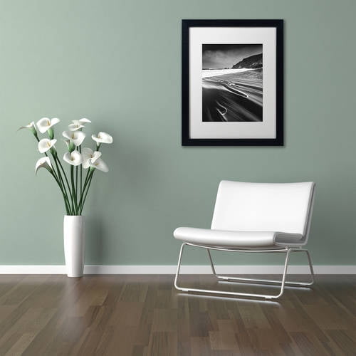 Trademark Fine Art "Veins of the Sea" Canvas Art by Mathieu Rivrin, White Matte, Black Frame