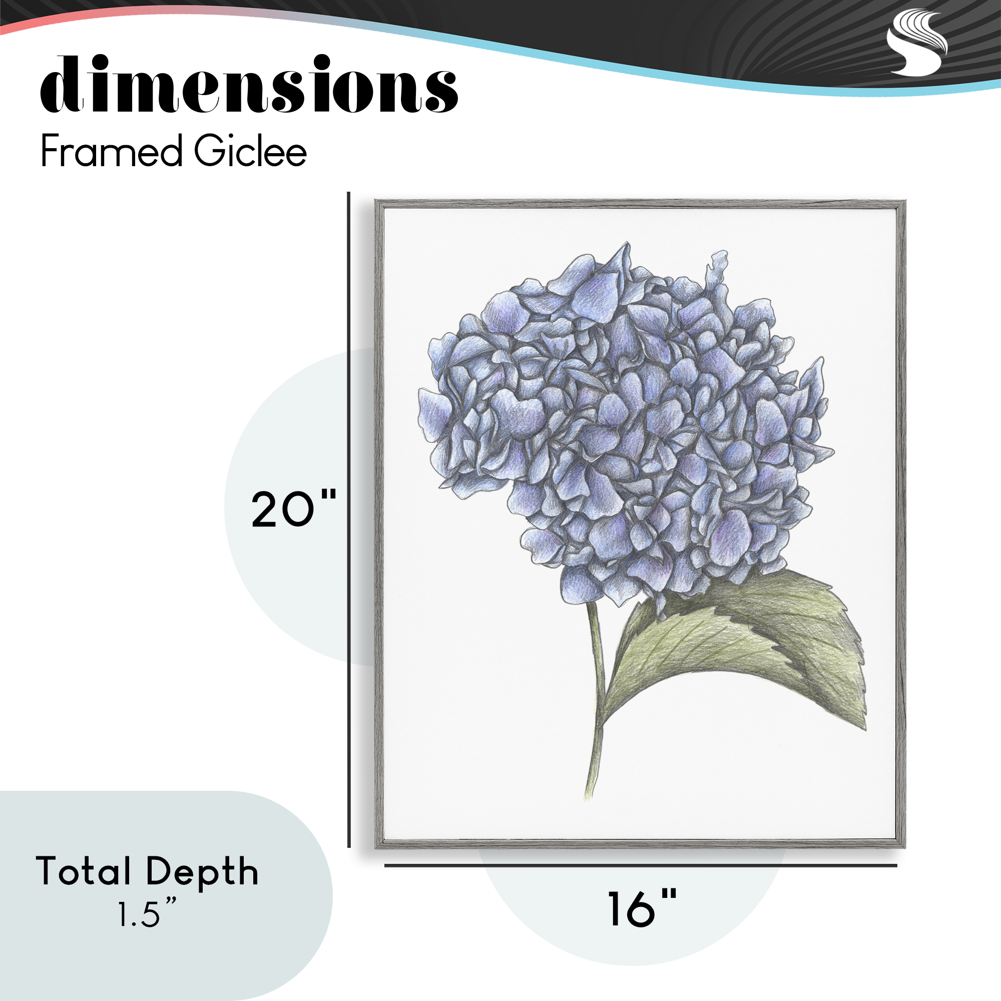 Hydrangea Sketch Blossom Gray Framed Giclee Art, design by Cecilia Battaini