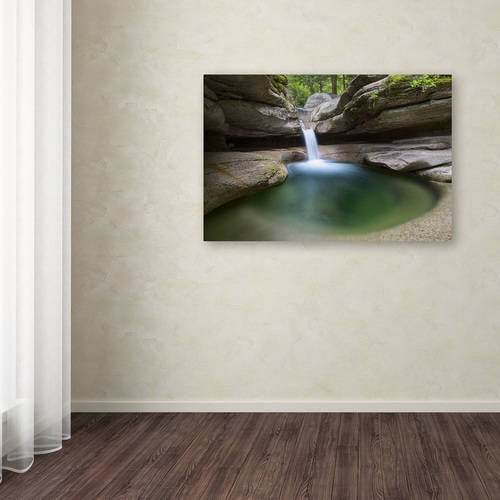 Trademark Fine Art 'Sabbaday Green Pool' Canvas Art by Michael Blanchette Photography
