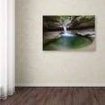 thumbnail image 3 of Trademark Fine Art 'Sabbaday Green Pool' Canvas Art by Michael Blanchette Photography, 3 of 3
