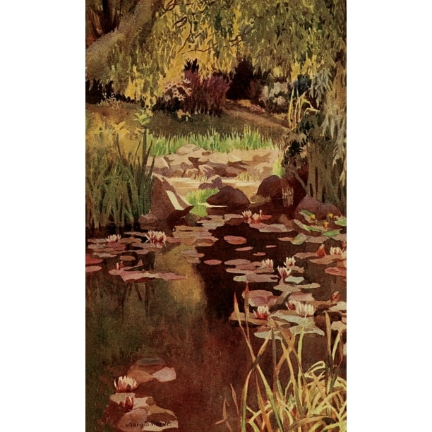 Download Every Woman's Flower Garden 1915 Water-lilies Poster Print ...