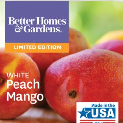 Huntingdon Triple Wax Melts 3 fragrances 12 cubes Made in USA Peach 
