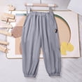 thumbnail image 2 of Zanarzt Toddler Boys Sweatpants Kids Boys Sweatpants Cotton Athletic Pants Boys Joggers with Pockets Kids Youth Workout Sweat Pants Grey,3-5 Years, 2 of 5
