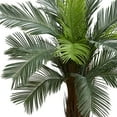 thumbnail image 3 of Nearly Natural 5' Cycas Artificial Tree UV Resistant (Indoor/Outdoor), 3 of 4