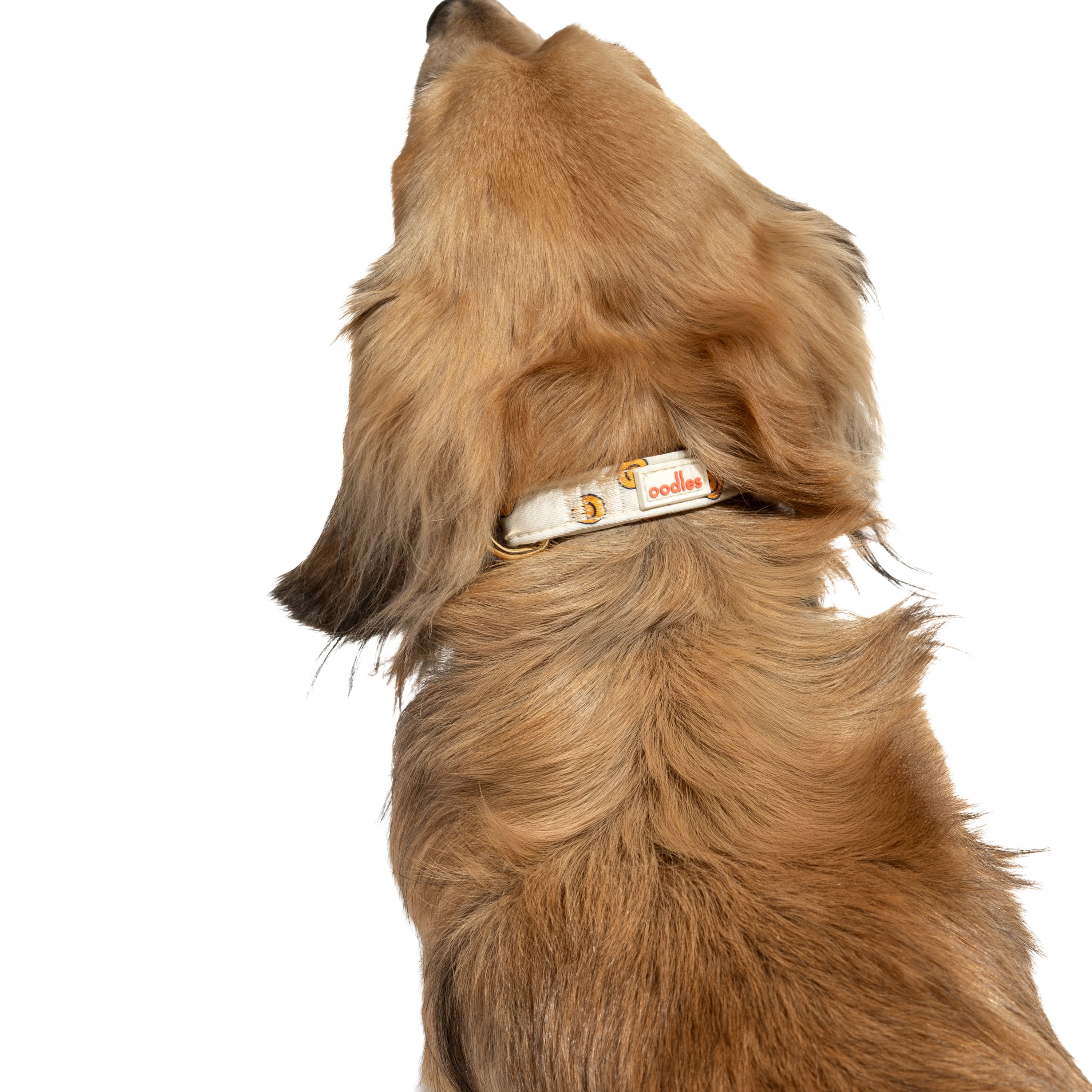 Oodles Tan Smiley Faces Adjustable Fashion Dog Collar, Small