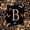 Brown Black B, variant on Catabedysis Personalized Letter Gifts Twin Sheets,Classic Cheetah Alphabet Z Bedding For Girls,3pcs,1 Fitted Sheet and 1 Pillowcase