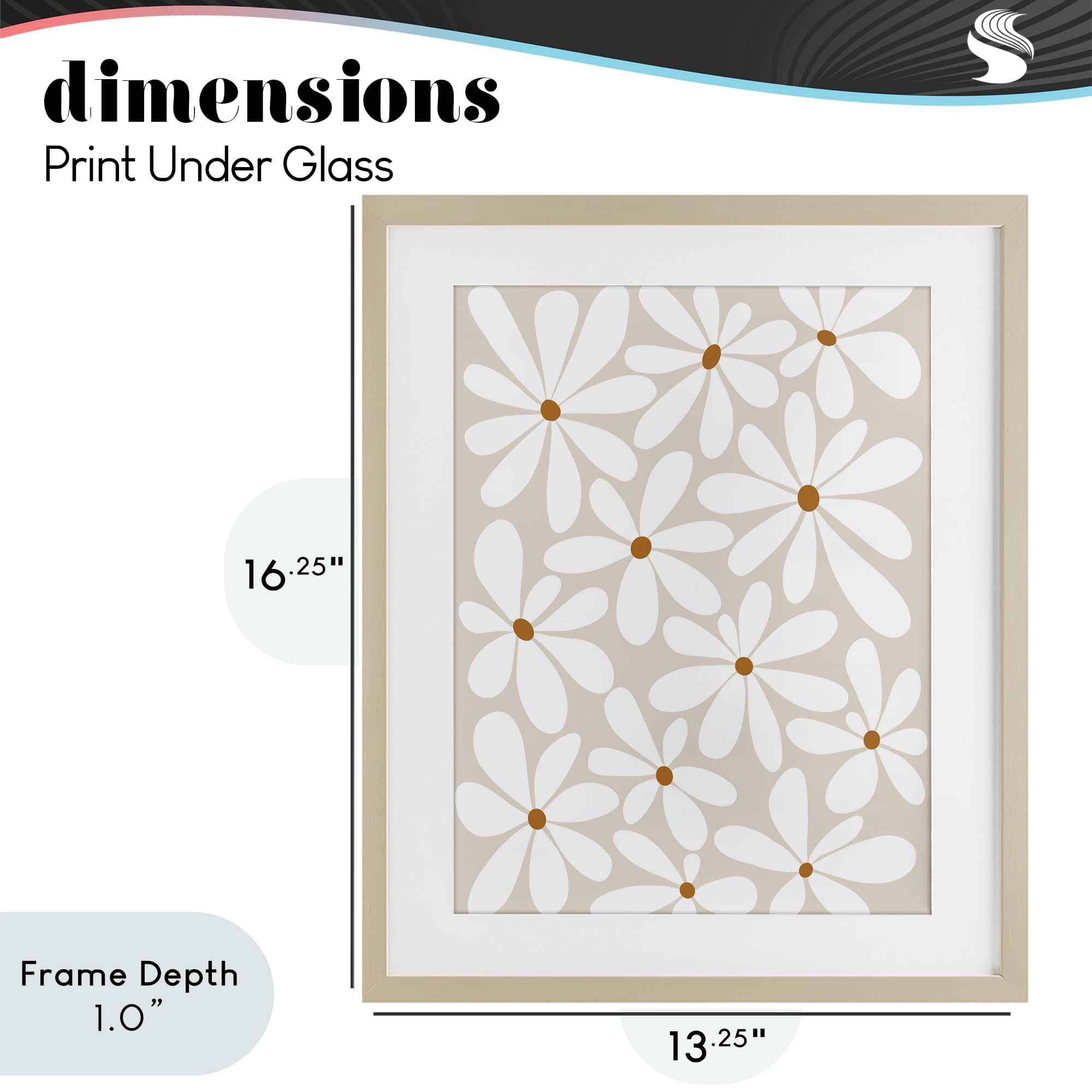 Stupell Industries Beige & White Daisies Birch Framed Print Under Glass, design by Susan Ball