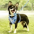 thumbnail image 3 of Pet Artist 3pcs Printed Dog Harness and leash and Personalized Dog Collar Set Custom Engraved, 3 of 8