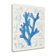 thumbnail image 1 of Tangletown Fine Art Sea Creature Coral Blue By Courtney Prahl,  Gallery Wrap Canvas, 1 of 2