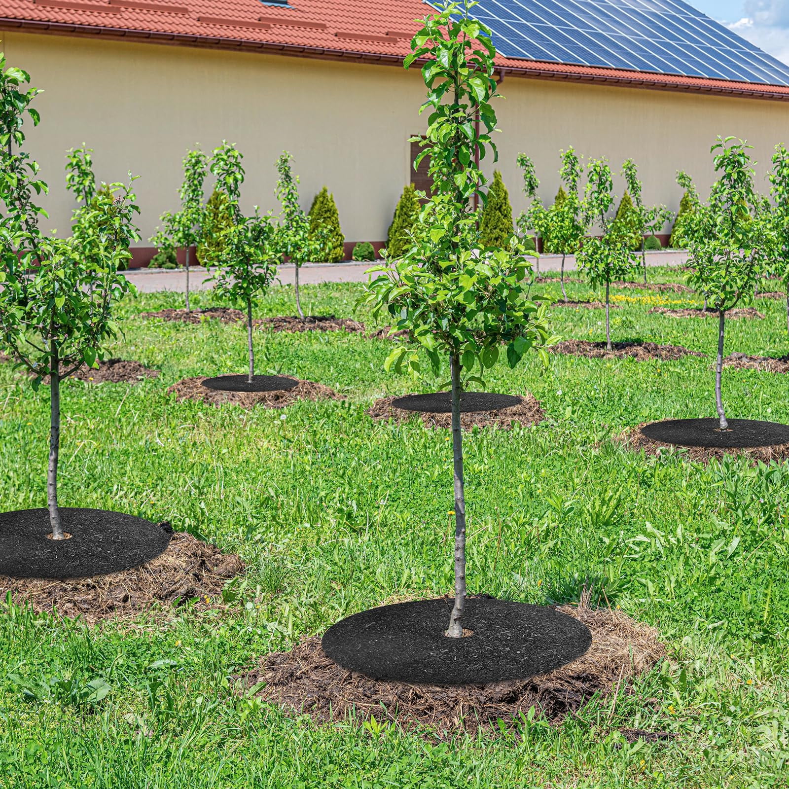 6 Pack 24 Inch Heavy Duty Rubber Mulch Ring for Trees - Round Tree Mulch Ring - Weed & Grass Control, Root Protection - No Staples Needed