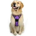 thumbnail image 1 of rabbitgoo Dog Harness  No-Pull Pet Harness with 2 Leash Clips  Adjustable Soft Padded Dog Vest  Reflective No-Choke Pet Oxford Vest with Easy Control Handle for Large Dogs Orange L, 1 of 9