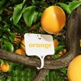 thumbnail image 5 of 50Pcs T-Type Plastic Plant Labels Waterproof Re-Usable Nursery Flower Vegetables Herb Markers Sign Stakes Garden Classification Tag, 5 of 6