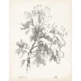 thumbnail image 3 of Unknown 12x14 Black Modern Framed Museum Art Print Titled - Ash Tree Study, 3 of 5