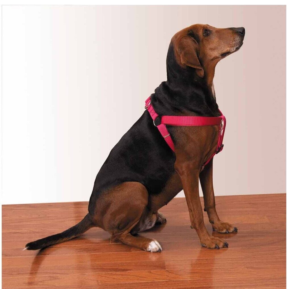 50 Pack Dog Harnesses Bulk Wholesale Assorted Colors Vet Rescue Shelter Safety (Large - 25 to 40 Inch Chest)
