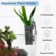thumbnail image 2 of Soporte para Plantas de Acuario Unique Bargains Soporte para Plantas de Pecera con Ganchos y Ventosas 1 Set Gris, 2 of 6
