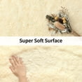 thumbnail image 2 of Shag Area Rugs for Living Room 5'X7', Soft and Fluffy Shaggy Carpet for Pets, Machine Washable Floor Rugs for Living room, 2 of 8