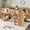 Natural with Desk, variant on Bellemave Full Size Loft Bed With Storage, Solid Wood Loft Bed with Sliding Chalkboard & Ladder, Low Loft Bed Full with Bulit-in Bookshelf & Safety Guardrails for Teens, White
