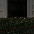 thumbnail image 2 of Northlight LED Wide Angle Net Style Tree Trunk Wrap Christmas Lights - 4' x 6' - Red and White -, 2 of 3