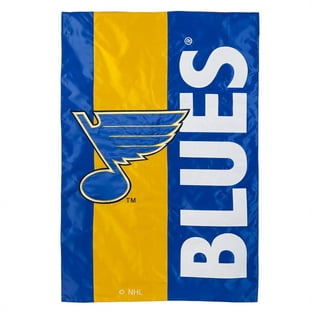 Vintage St. Louis Blues NHL Hockey Pennant Banner Flag 