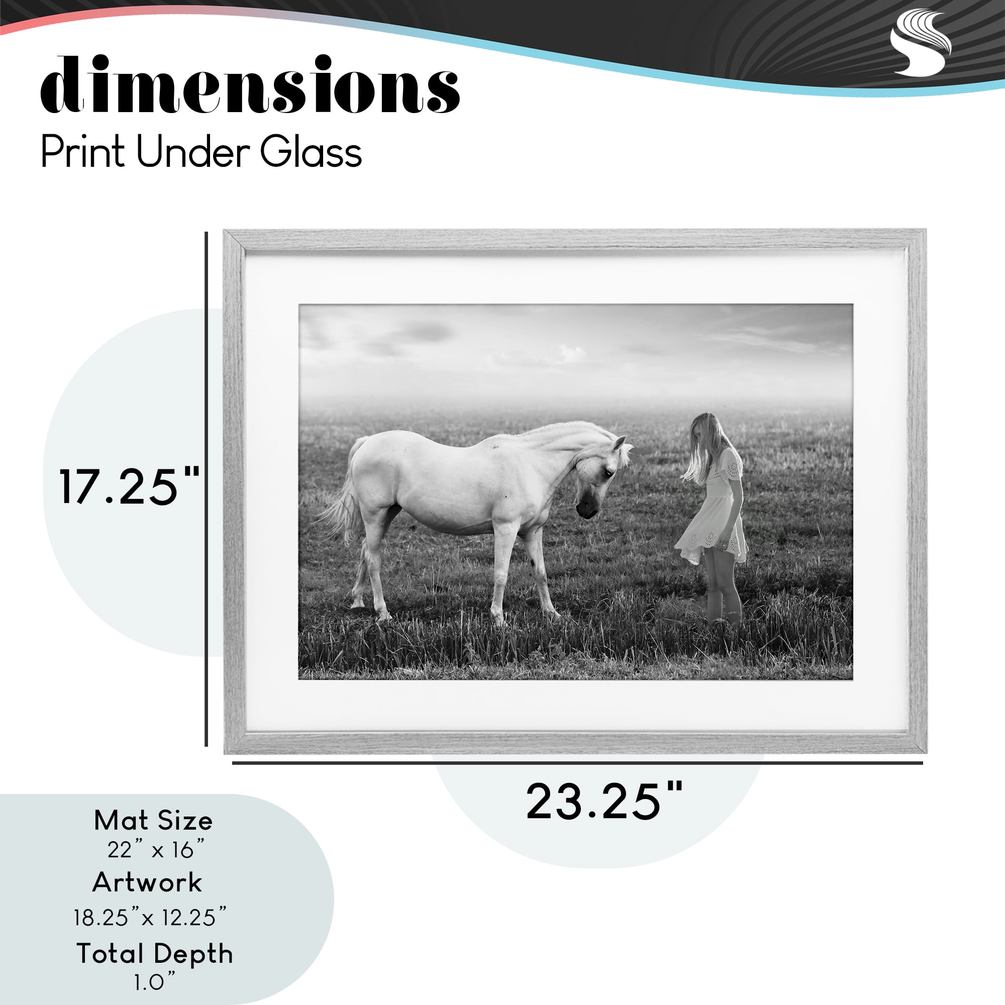 Her White Horse Gray Framed Print Under Glass, design by Ata Alishahi
