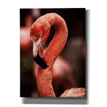 Epic Graffiti 'Caribbean Flamingo II' by Debra Van Swearingen, Canvas Wall Art, 40"x54"