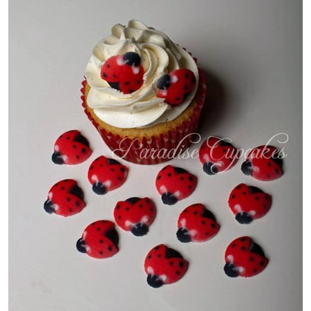 Edible Sugar Flowers - Edible Sugar Lady bug Toppers - 12 Count