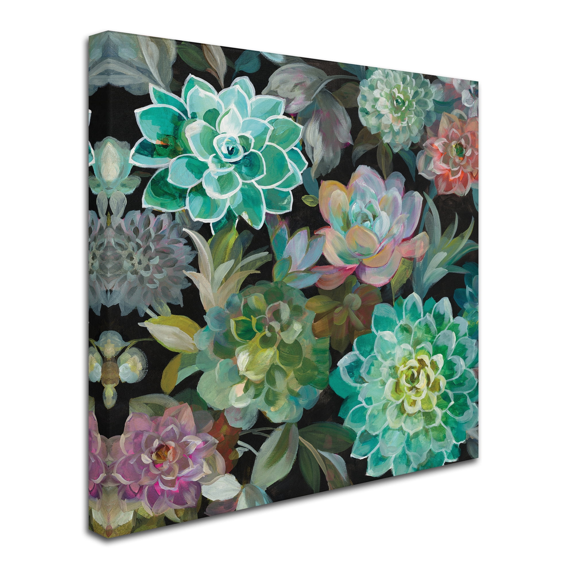 Trademark Fine Art 'Floral Succulents v2 Crop' Canvas Art by Danhui Nai