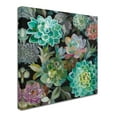 thumbnail image 2 of Trademark Fine Art 'Floral Succulents v2 Crop' Canvas Art by Danhui Nai, 2 of 3