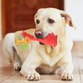 thumbnail image 4 of Durable Squeaky Rubber Chicken Dog Toy,Yellow Interactive Fetch & Chew Toy for Boredom Relief,Suitable for Small Medium Large Dogs - Blue, 4 of 6
