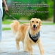 thumbnail image 3 of Correa Para , Correa De Tracción Para Mascotas, Color Y Negro, Acolchado, Resistente A Los Tirones, Hebilla Usable De 360 ​​​​grados Para Golden Retriever Para, 3 of 7