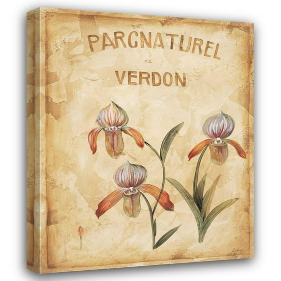 Loretta Linza 28x34 Gallery Wrapped Canvas Wall Art Titled - Parcnaturel IV