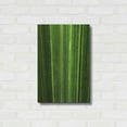 thumbnail image 3 of Luxe Metal Art 'The Great Green Wall' by Epic Portfolio Metal Wall Art, 16"x24", 3 of 9