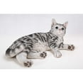 thumbnail image 4 of Hi-Line Gift Ltd Lying Down American Shorthair Cat Statue, 4 of 4