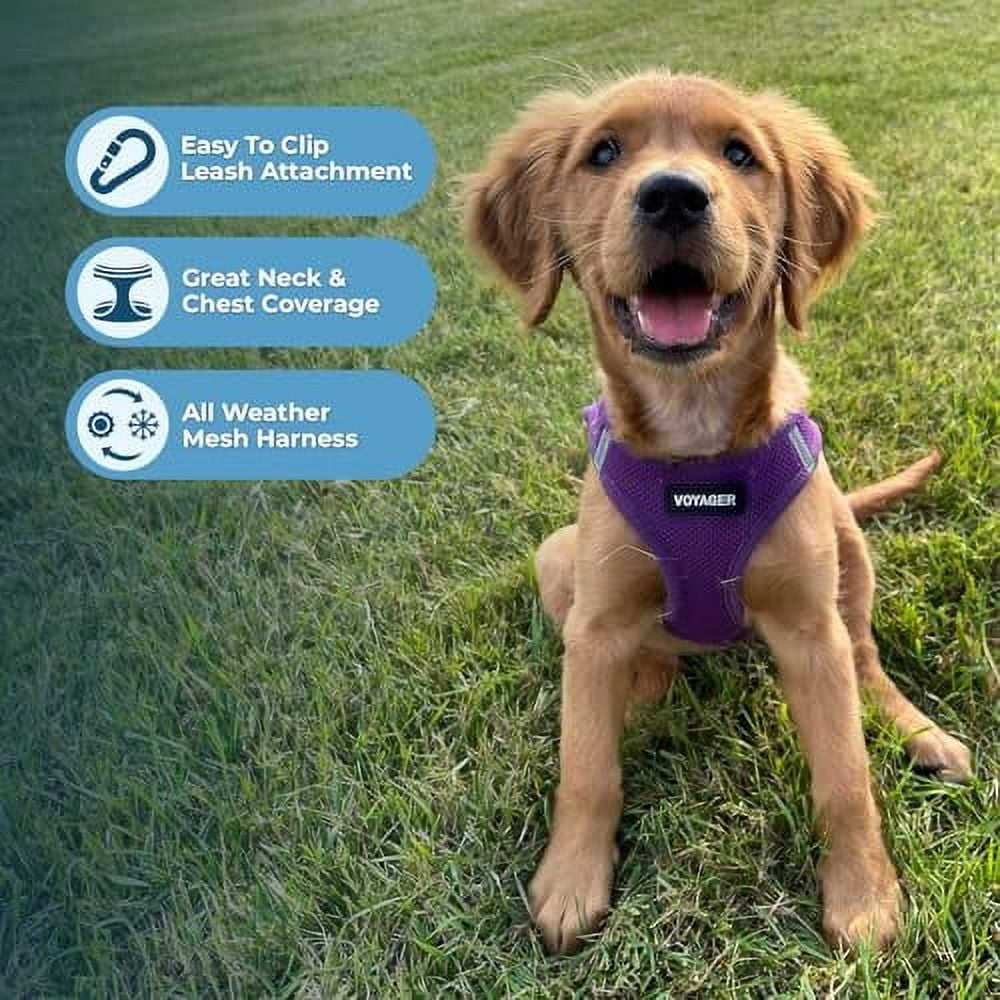 Voyager Step-in Air Dog Harness - All Weather Mesh Step in Vest Harness for Small and Medium Dogs and Cats by Best Pet Supplies - Harness (Purple), L (Chest: 18-20.5")