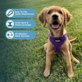 thumbnail image 6 of Voyager Step-in Air Dog Harness - All Weather Mesh Step in Vest Harness for Small and Medium Dogs and Cats by Best Pet Supplies - Harness (Purple), M (Chest: 16-18"), 6 of 7