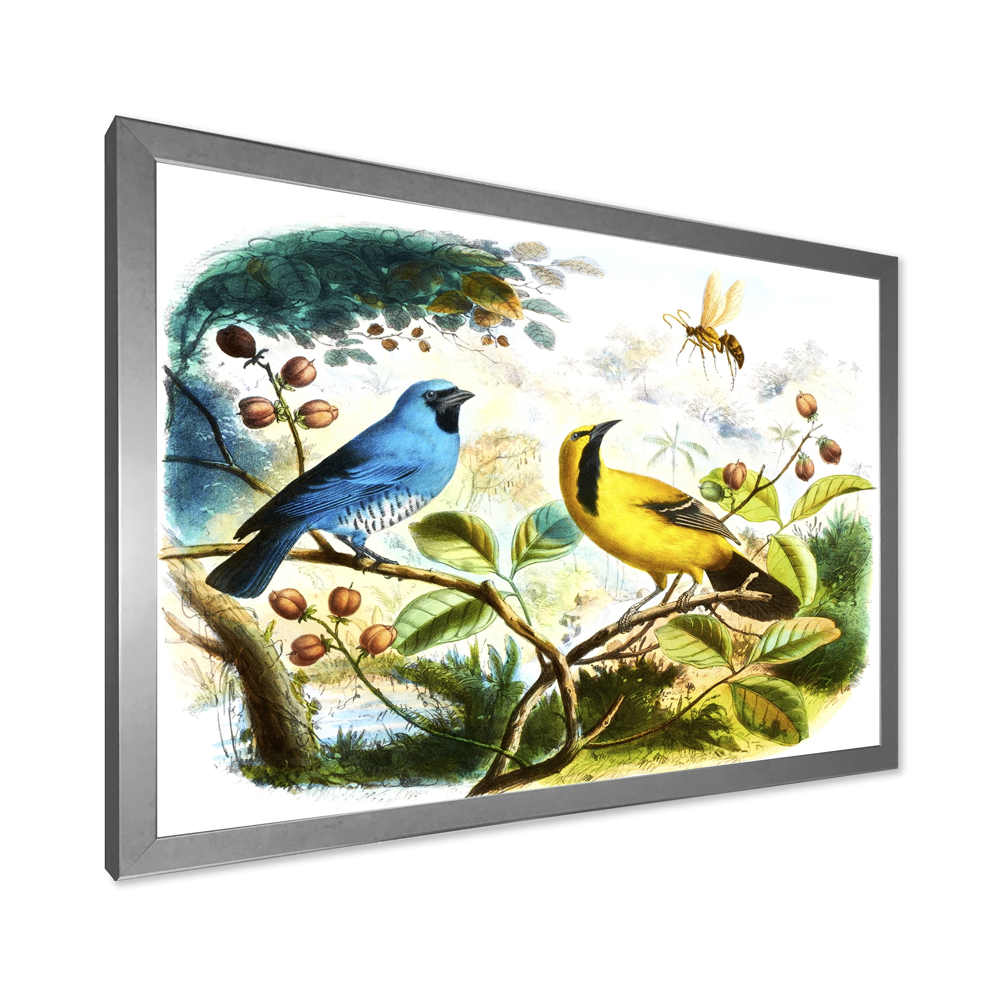 Designart 'Yellow and Blue Bird In The Wild' Traditional Framed Art Print