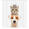 thumbnail image 3 of Animal Shower Curtain, Funny Portrait of Pets on Top of Each Other Staring at Camera Cat Dog Mouse, Fabric Bathroom Set with Hooks, 69W X 84L Inches Extra Long, White Multicolor, by Ambesonne, 3 of 3