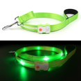 thumbnail image 3 of Correa LED para perro, color lavanda, recargable, 1,5 m, con doble asa, 3 of 6