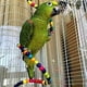 thumbnail image 5 of Kit de juguetes para aves Pets & Friends 7 piezas colgantes y masticables de Madera, 5 of 10